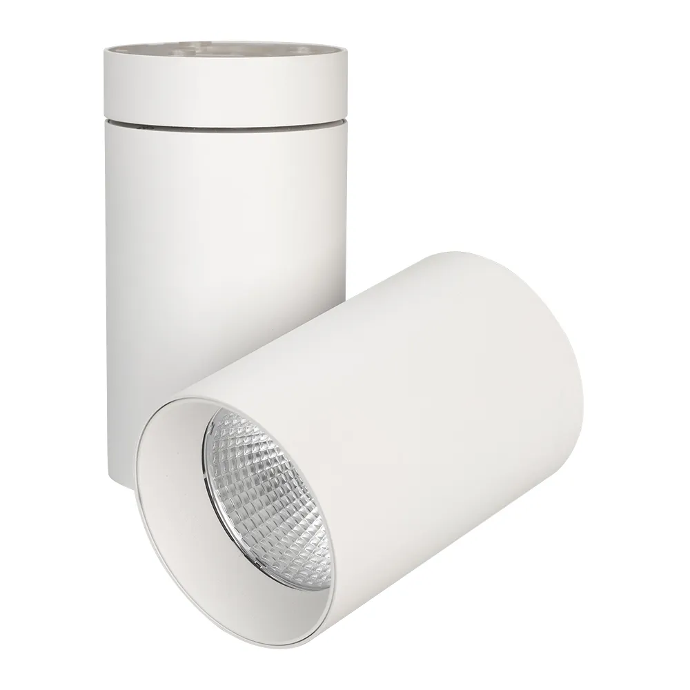 Светильник SP-POLO-SURFACE-TURN-R85-15W Warm3000 (WH-WH, 40 deg) (Arlight, IP20 Металл, 3 года)